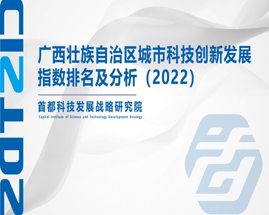 草阴道【成果发布】广西壮族自治区城市科技创新发展指数排名及分析（2022）